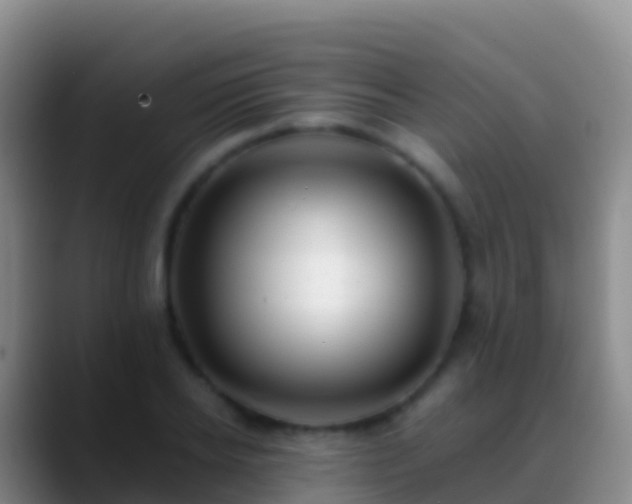 X0000088910934200706151903