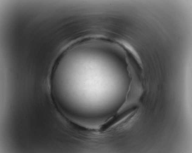 X0000088910935200706151903