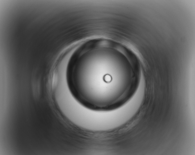X0000088910936200706151903