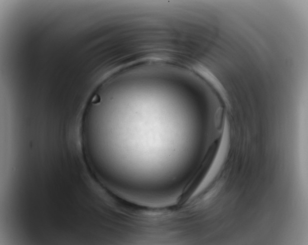 X0000088910939200706151903