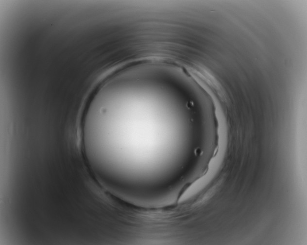 X0000088910940200706151903