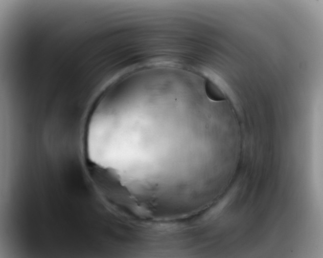 X0000088910941200706151903