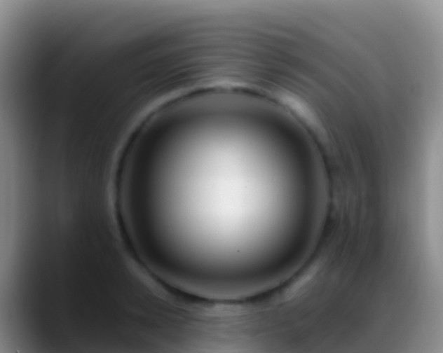 X0000088910942200706151903