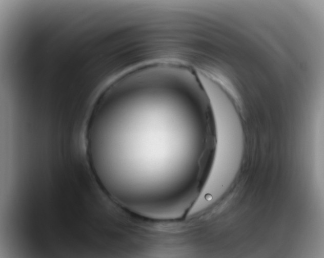X0000088910944200706151903