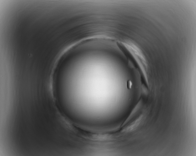 X0000088910952200706151903