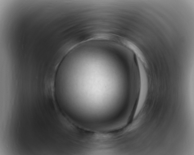 X0000088910954200706151903