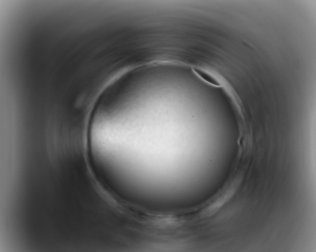 X0000088910957200706151904