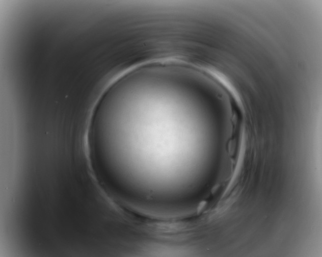 X0000088910959200706151904