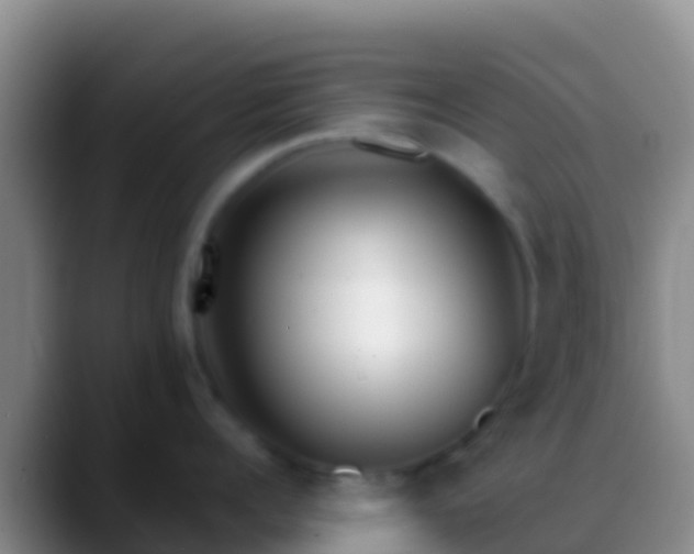 X0000088910960200706151904