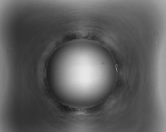 X0000088910961200706151903