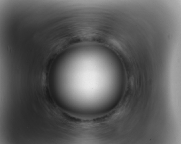 X0000088910964200706151903