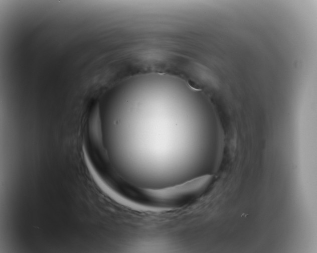 X0000088910965200706151903