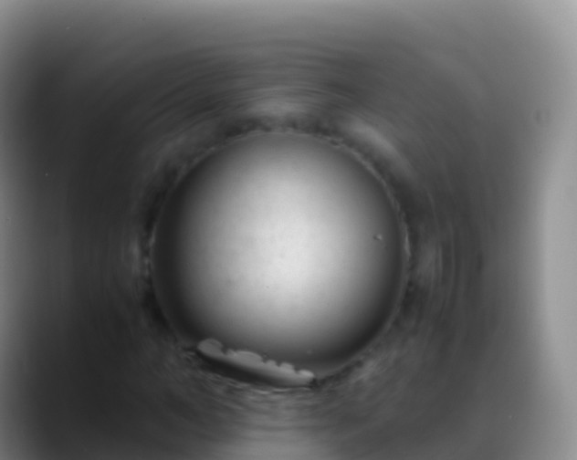 X0000088910966200706151903