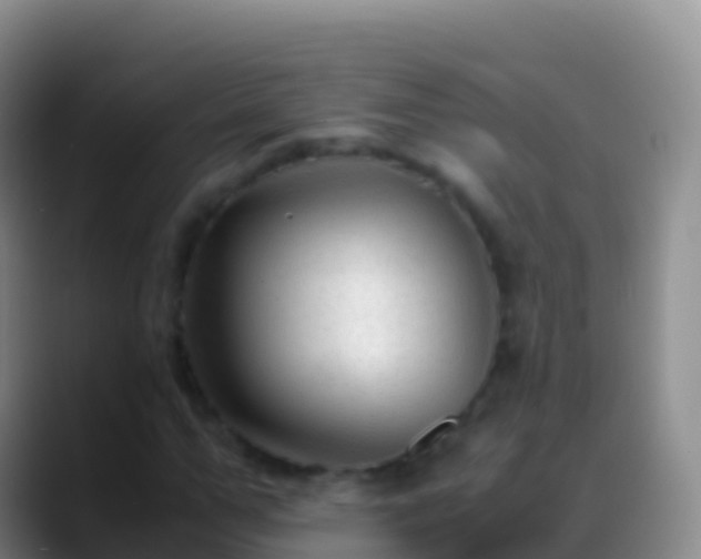 X0000088910967200706151903