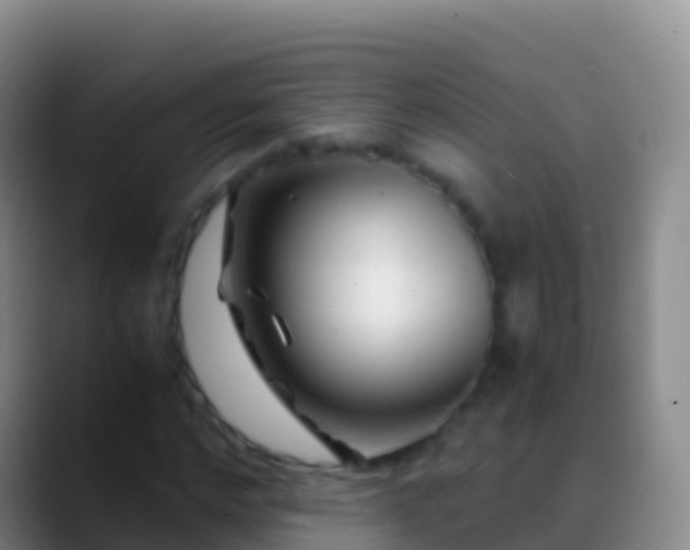 X0000088910968200706151903
