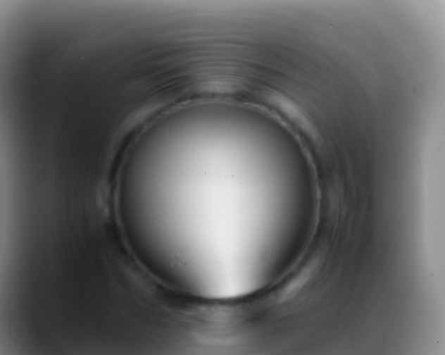 X0000088910970200706151903