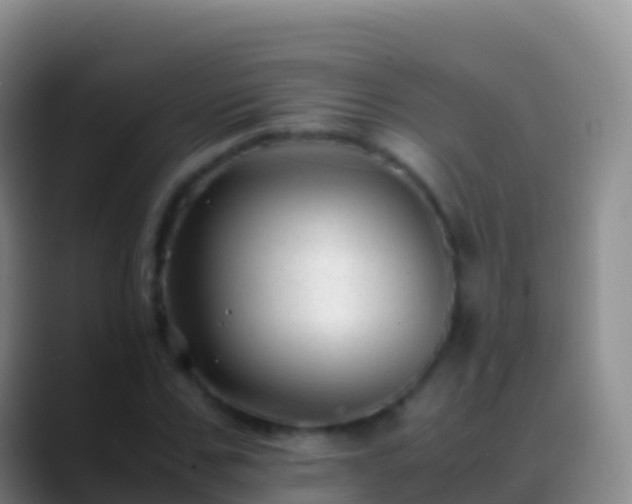 X0000088910971200706151903