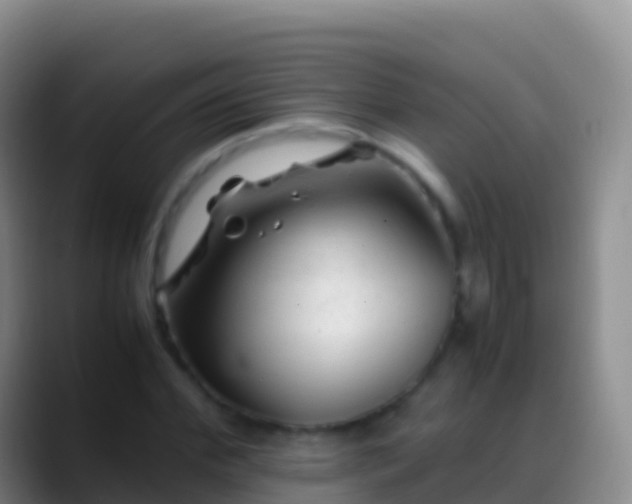 X0000088910972200706151903