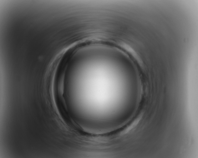 X0000088910973200706151903