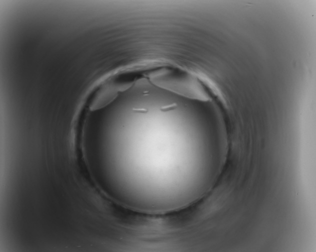 X0000088910975200706151903