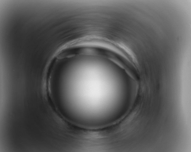 X0000088910976200706151903