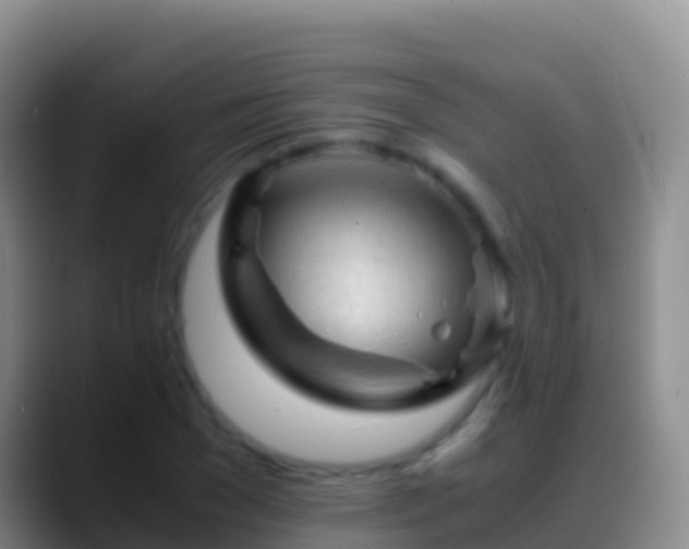 X0000088910977200706151903