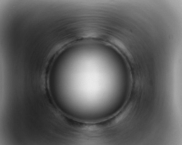 X0000088910978200706151903