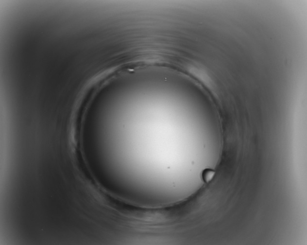 X0000088910979200706151903