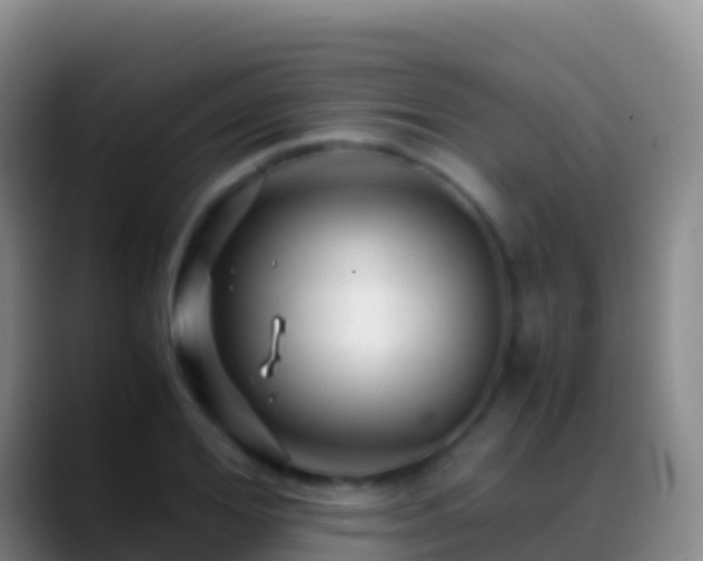 X0000088910980200706151903