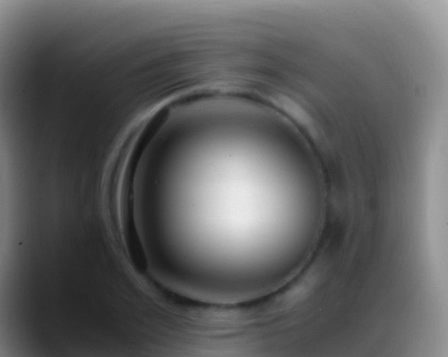 X0000088910981200706151903