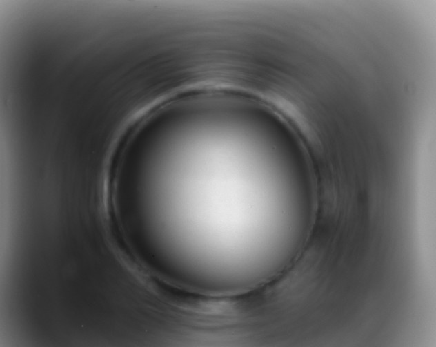 X0000088910982200706151903