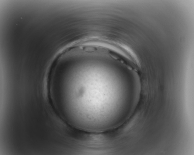 X0000088910983200706151903