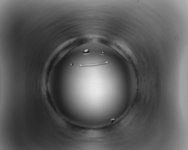 X0000088910984200706151903