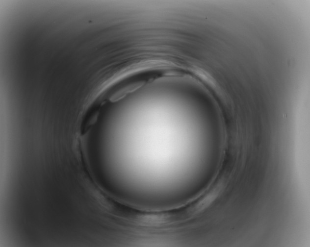 X0000088910985200706151903