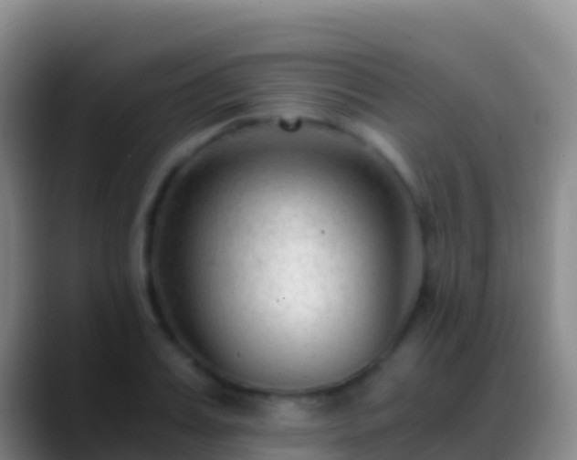 X0000088910987200706151903
