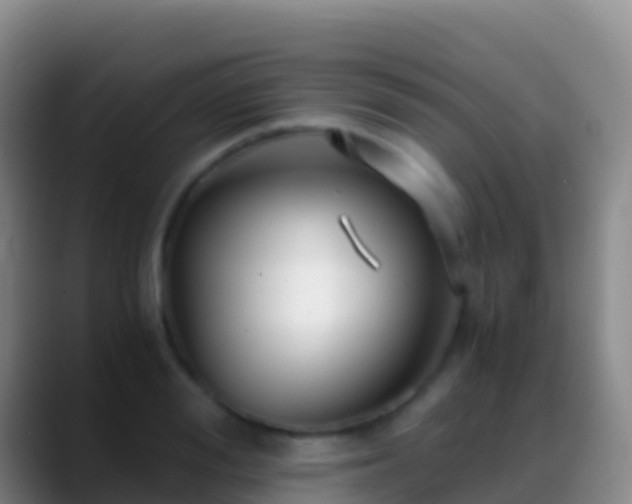 X0000088910988200706151903