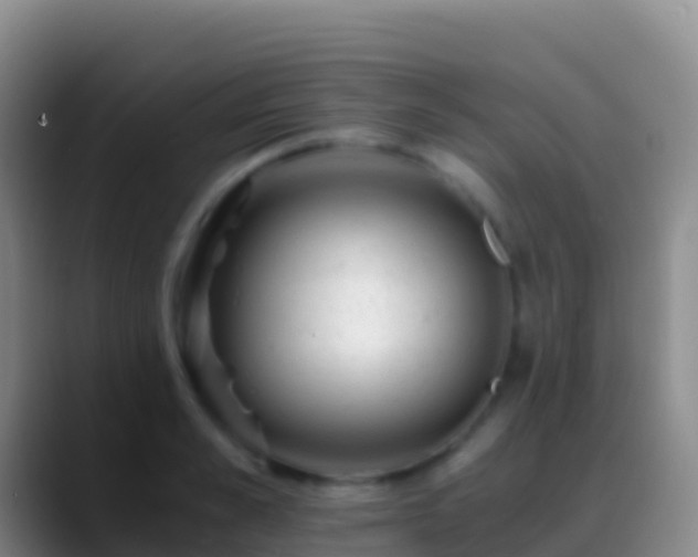 X0000088910989200706151903