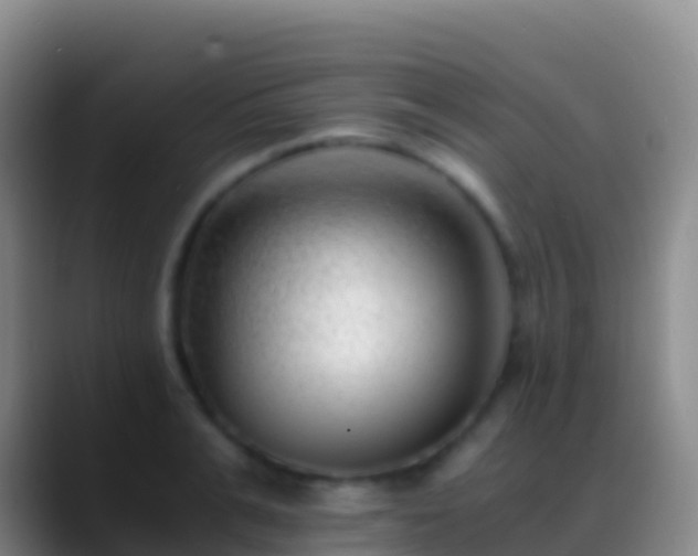 X0000088910991200706151902