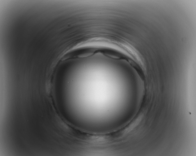 X0000088910993200706151902