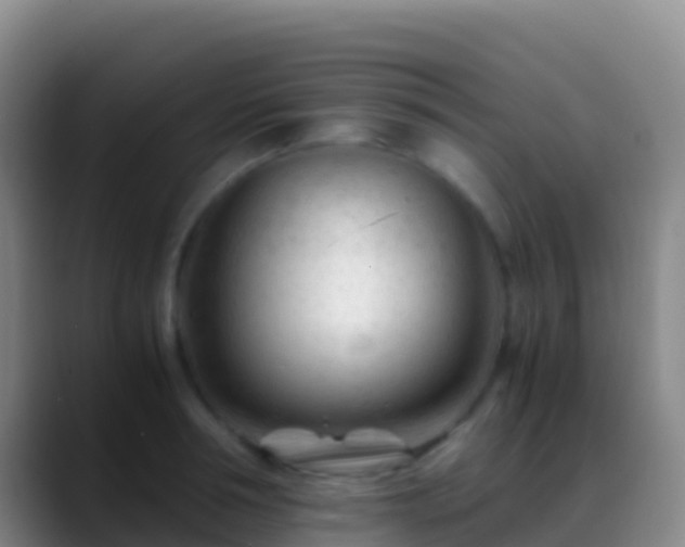 X0000088910994200706151902