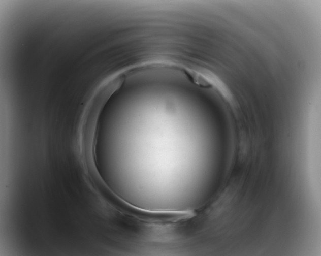 X0000088910996200706151902