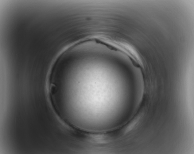 X0000088910999200706151902