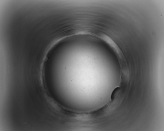 X0000088911002200706151902