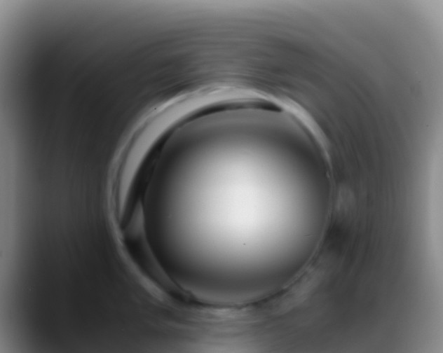 X0000088911005200706151902