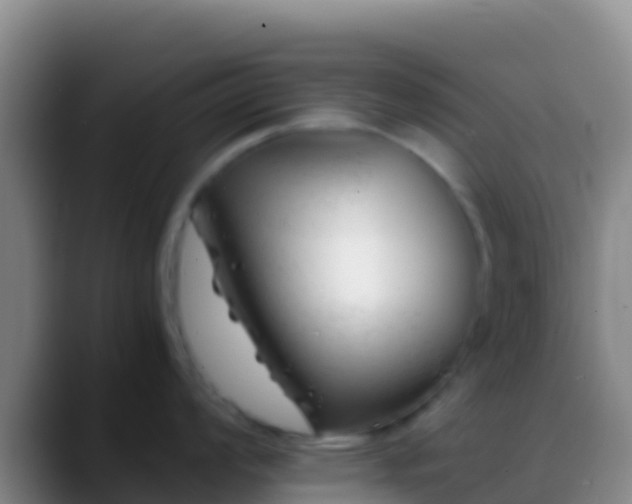 X0000088911008200706151902