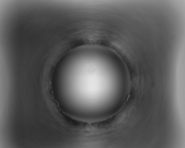 X0000088911009200706151902