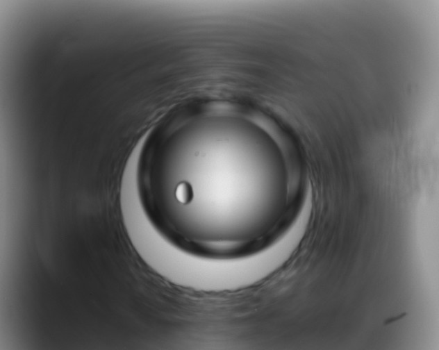 X0000088911010200706151902