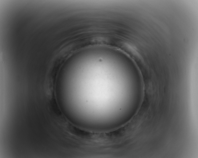X0000088911015200706151902