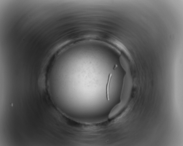 X0000088911019200706151902