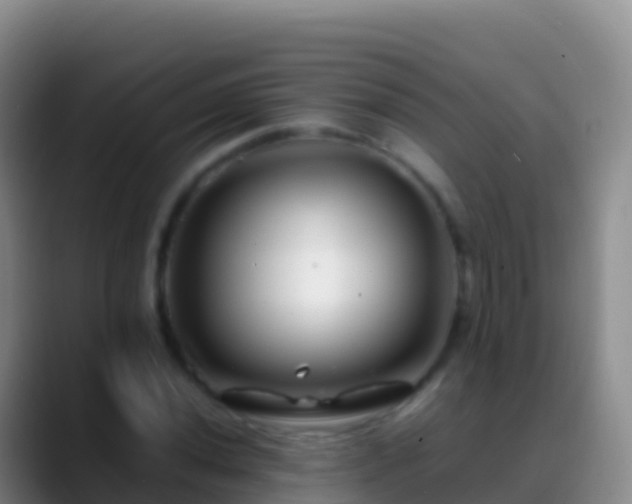 X0000088911020200706151902